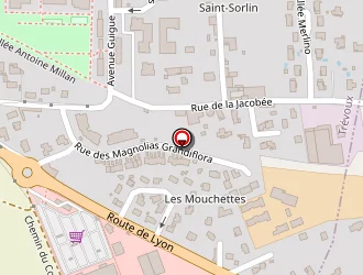 Carte de Trévoux Pneus à Trévoux