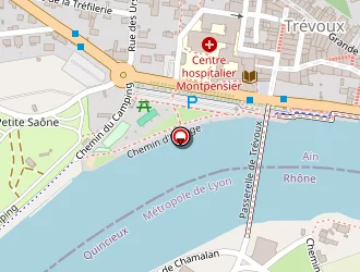 Carte de Goncalves Albino à Quincieux