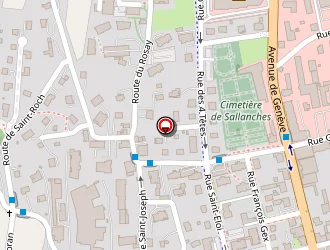 Carte de Chesney Claude à Sallanches