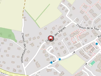 Carte de Girardot Mathieu à Metz-tessy