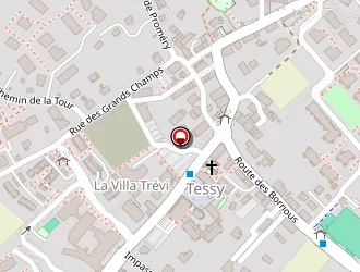 Carte de Boutique Système à Metz-tessy