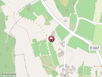 Carte de Bouveron Jean-bernard à Theizé