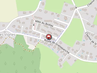 Carte de Barone Frédéric à Villaz