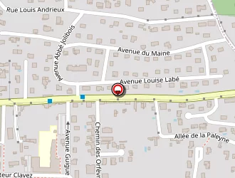 Carte de F.g.m (fuel Gaz Maintenance) à Trévoux