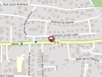 Carte de Finas à Trévoux