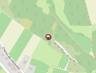 Carte de Politis Bertrand à Theizé