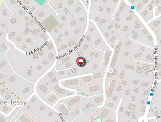 Carte de Pro Canin à Metz-tessy