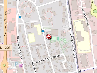 Carte de Angel Pet Sitter 74 à Sallanches