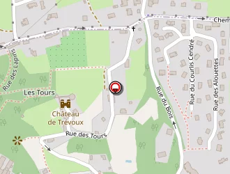 Carte de Deloume Nicolas à Trévoux