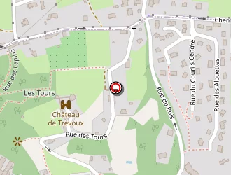 Carte de Giguet Jacques à Trévoux