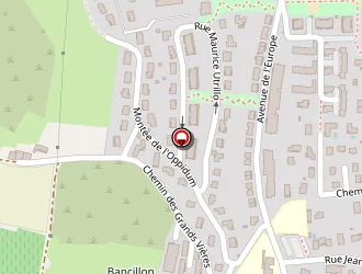 Carte de Barnier Perreux David Violaine à Anse