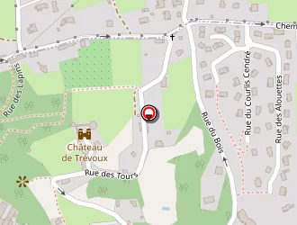 Carte de Bonnet Alexandre à Trévoux