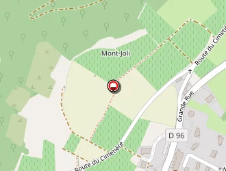 Carte de Urgence (services Locaux) à Saint-laurent-d'oingt