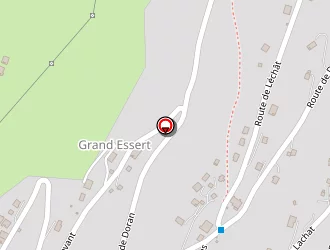 Carte de Chesney Michel à Sallanches