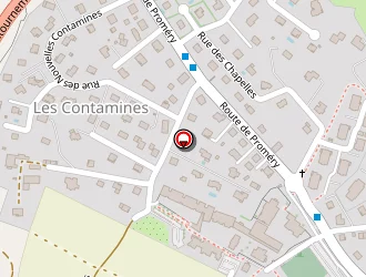 Carte de Coulaud Frédéric à Pringy