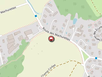 Carte de Bornend Richard à Metz-tessy