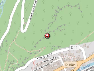 Carte de Collemiche Benoît à Saint-rambert-en-bugey