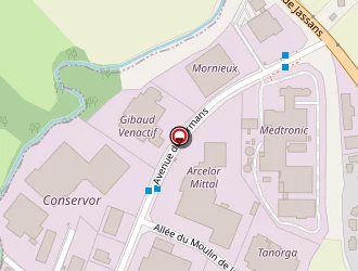 Carte de Thermie Production à Trévoux