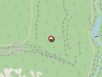 Carte de Tsm à Saint-rambert-en-bugey