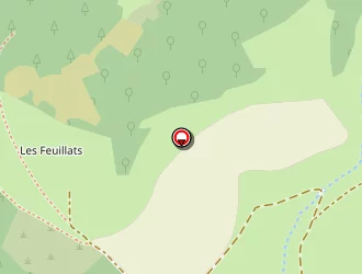 Carte de Rochard Gérard à Valsonne