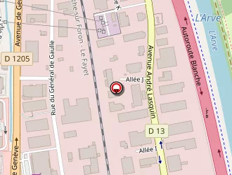 Carte de Thévenet Georges à Sallanches