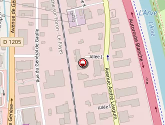 Carte de Pum Plastique à Sallanches