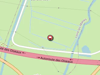 Carte de Borehal à Tonnay-charente