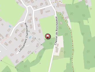 Carte de Marcel Christine à Saint-didier-de-formans