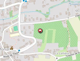 Carte de Cenki Marion à Pouilly-le-monial