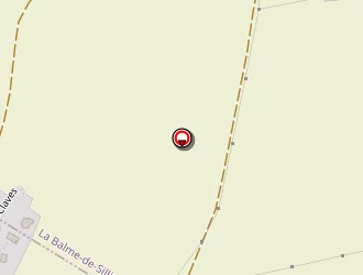 Carte de Mesnier Eric à Sillingy