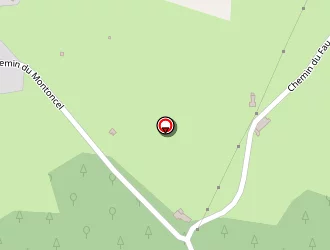 Carte de Detruy Luc à Lavoine