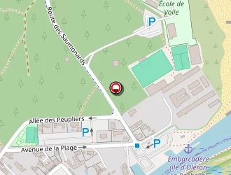 Carte de Tlc à Saint-georges-d'oléron