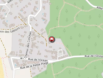 Carte de Anse Des Pins à Saint-georges-d'oléron