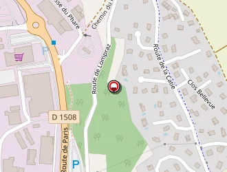 Carte de Frison Yoann à Balme-de-sillingy (la)