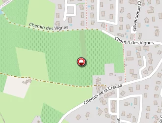 Carte de La Tribu Des Filles à Limas