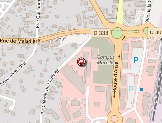 Carte de Point Controle Auto-lps à Limas