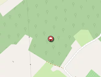 Carte de Cazaugade Eric à Saint-georges-d'oléron