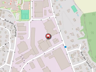 Carte de La Production Industrielle à Jassans-riottier