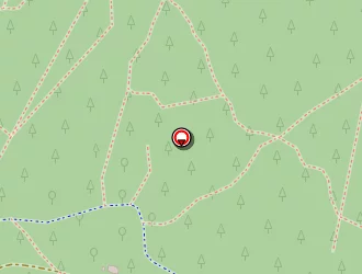 Carte de Graffeuil Stéphane à Saint-georges-d'oléron