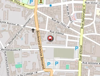 Carte de Cofely à Villefranche-sur-saône