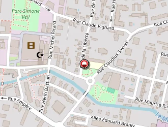 Carte de Foolek Pizz à Villefranche-sur-saône