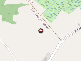 Carte de Loup Eric à Saint-georges-d'oléron