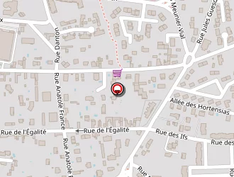 Carte de S.f.e (schob Frères Electricité) à Villefranche-sur-saône