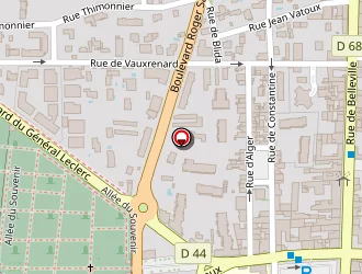 Carte de Ligeron Daniel à Villefranche-sur-saône