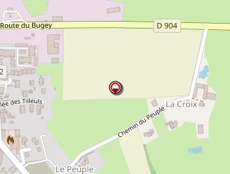 Carte de Limat à Ambérieux-en-dombes