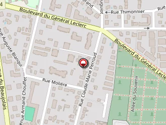 Carte de Berthou Philippe à Villefranche-sur-saône