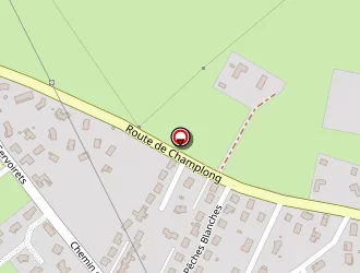 Carte de Taxi Marion à Villerest