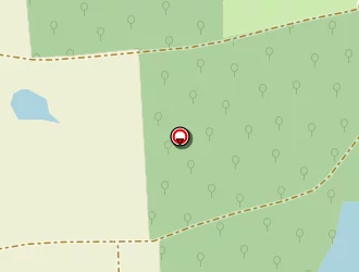 Carte de Trans P-l-s à Châtenay