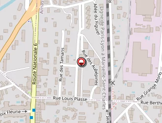 Carte de Raphael Autos à Villefranche-sur-saône