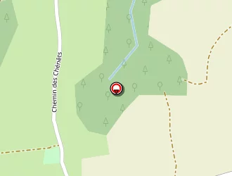 Carte de Glandut Jacques à Sallenôves